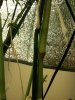 Iphone - April 2010 089.jpg