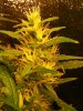 Iphone - April 2010 149.jpg