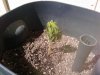 2010-04-06 13.42.52.jpg