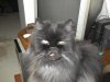 DSC00012.jpg