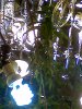 03-05-08_1251.jpg