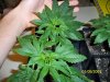 100_0504.jpg