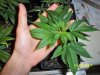 100_0503.jpg