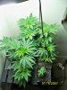 100_0506.jpg