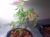 0408101930a_327024.jpg