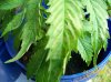 110_0002.jpg