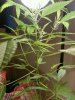 IMG00001-20100324-2322.jpg
