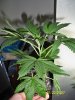 100_0551.jpg