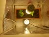 IMG00011-20100414-1511.jpg