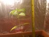 IMG00015-20100414-1512.jpg