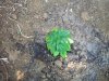 100_1625.jpg