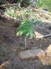 100_1627.jpg