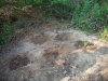 100_1628.jpg