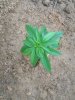 100_1631.jpg