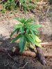 100_1632.jpg