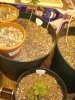 DSC00843.JPG