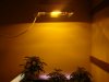DSC00849.JPG