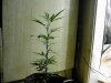 IMG_0028a.jpg