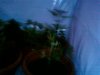 SP_A0397.jpg