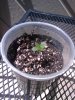 2010-04-19_12.24.05.jpg