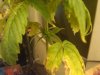 IMG00025-20100422-1914.jpg