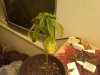 IMG00023-20100422-1913.jpg