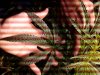 26277_1451897137102_1223467161_31312096_4778348_n.jpg