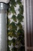 Day 21-5.jpg