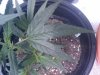 2010-04-23_00.18.09.jpg