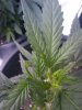 2010-04-23_00.18.45.jpg
