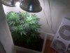 IMG00050.jpg IMG00050.jpg
