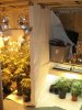 DSC00236.jpg