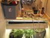 DSC00225.jpg