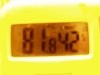 P1010003.jpg