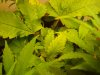 DSC02077.jpg