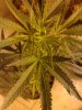 201004261531.jpg