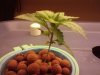 2010-04-26 20.54.14.jpg