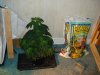 DSC00276.jpg