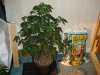 DSC00273.jpg