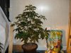 DSC00274.jpg