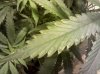 2010-04-27 10.19.34.jpg