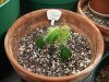 DSC01016.jpg