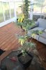 IMG_2678 resize.jpg
