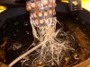 day 19 roots 001.jpg
