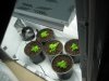 IMG_1637 Clone Room with new transplants.jpg
