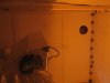 IMG_1647 Flower Room.jpg