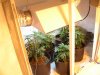IMG_1649 Veg room.jpg