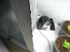 IMG_1640 CLone and Mother rooms.jpg