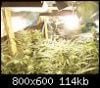 Room%20Pic%204wk.jpg