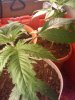 2010-04-29 15.36.26.jpg